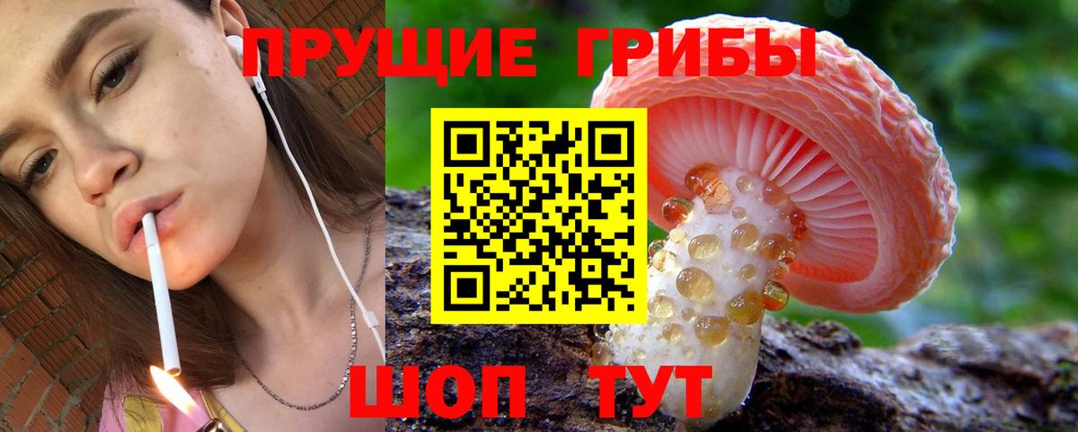 Галлюциногенные грибы мухоморы  Галлюциногенные грибы прущие грибы  Ростов Великий  Вход с VPN 